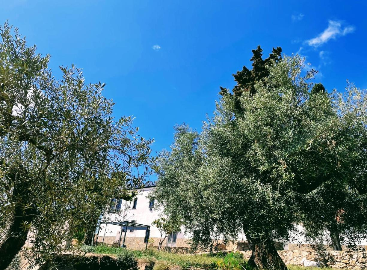 Masia St Salvador 1582 كوبيليس المظهر الخارجي الصورة