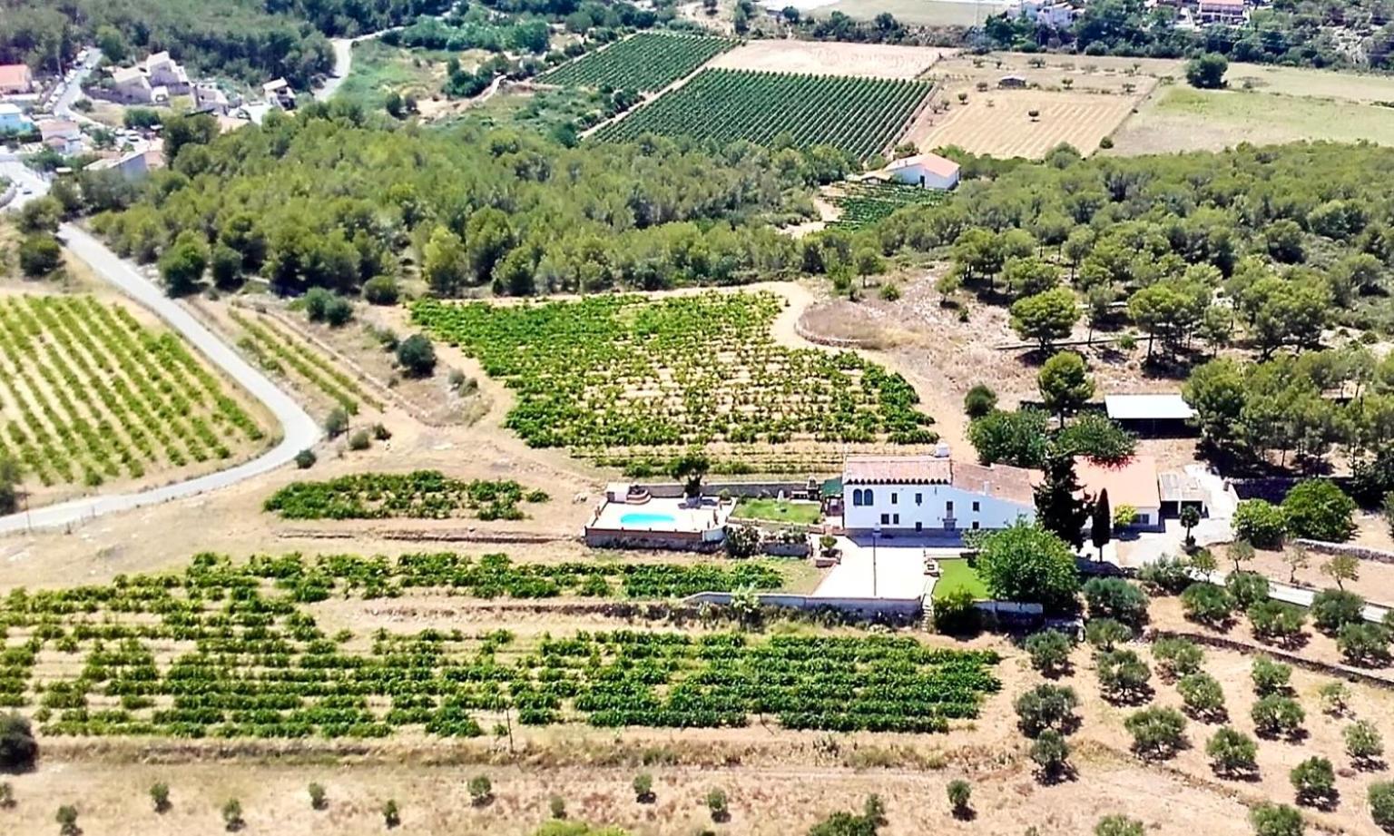 Masia St Salvador 1582 كوبيليس المظهر الخارجي الصورة